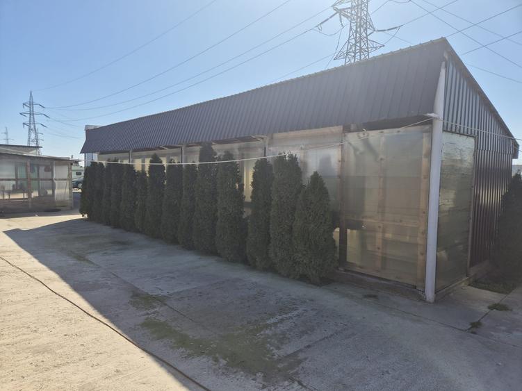 Spațiu comercial, în Ișalnița
