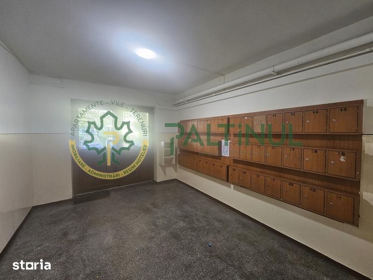 Apartament cu 3 camere decomandat în Trei Stejari