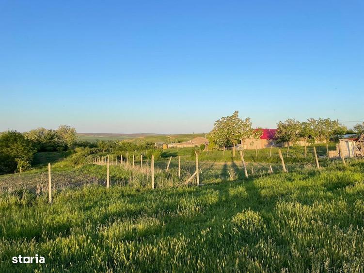 Teren de 3100 mp, în Bălțați