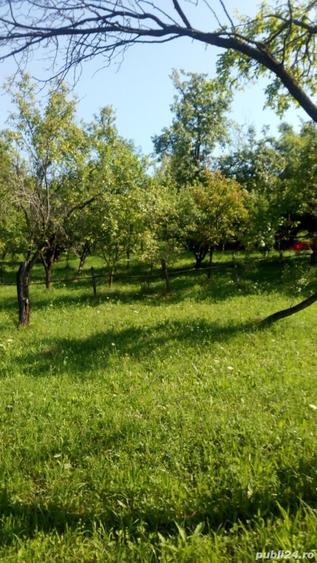 Teren în Runcu
