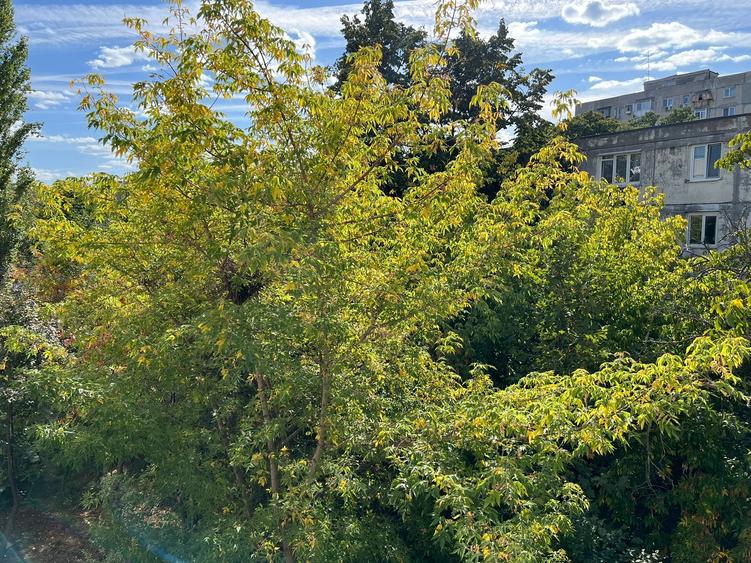 Apartament cu 3 camere decomandat în Drumul Taberei