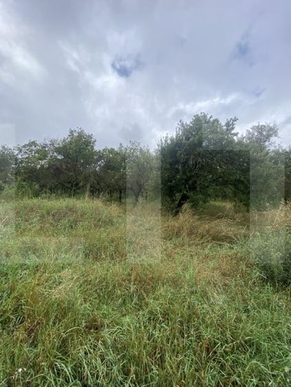 Teren agricol extravilan de 5150 mp, în Simeria