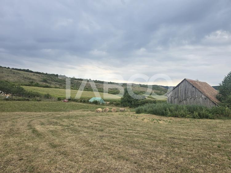 Teren agricol extravilan de 8700 mp, în Șura Mare