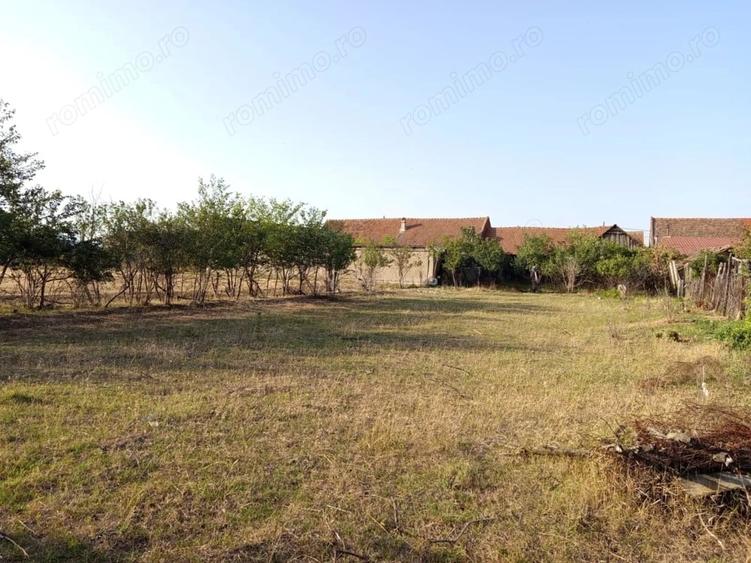 Casă cu Teren 1129 Mp în Berliște