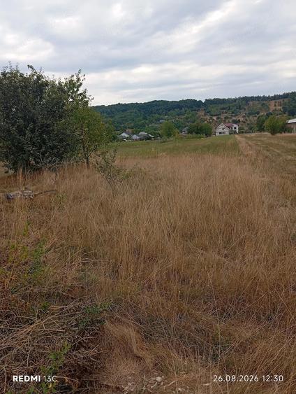 Teren intravilan de vanzare - 3