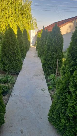 Casă cu 5 camere în Scorțaru Vechi