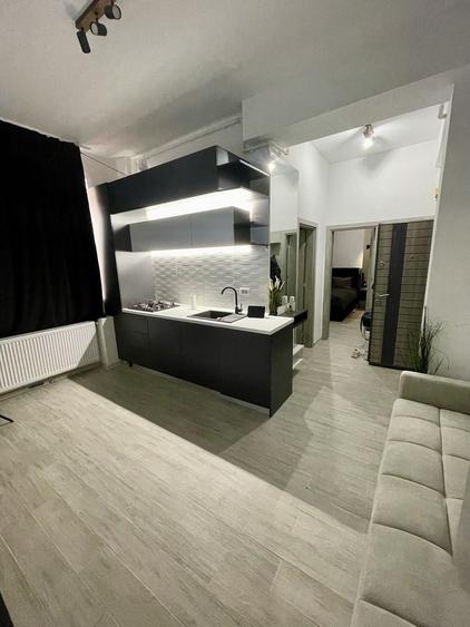 Apartament cu 2 camere, mobilat în Roșu