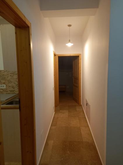 Apartament cu 2 camere decomandat în Buziașului