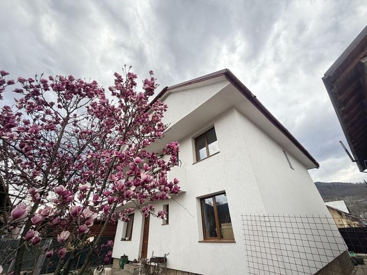 Casă cu 4 camere în Alexandru cel Bun