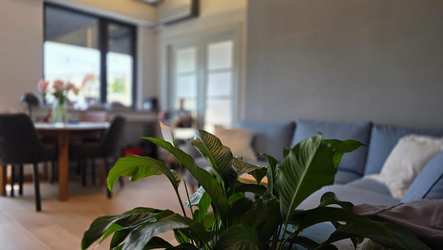 Apartament cu 3 camere semidecomandat în Cișmigiu