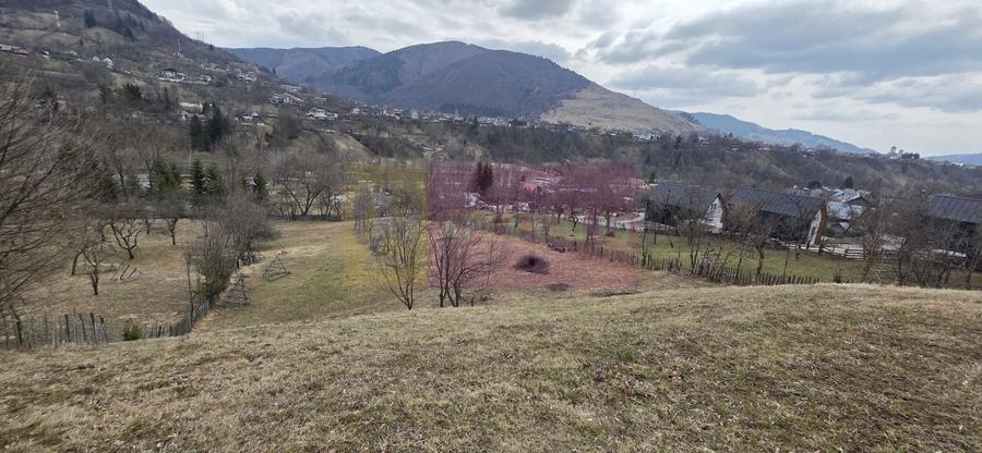 Teren Construcții intravilan de 2500 mp, în Valea Doftanei