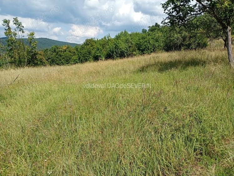 teren extravilan de vinzare resita linga satul Doman