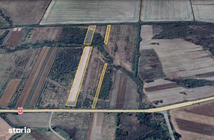 Teren extravilan 28.300 mp intre Gavojdia si Jena - 3