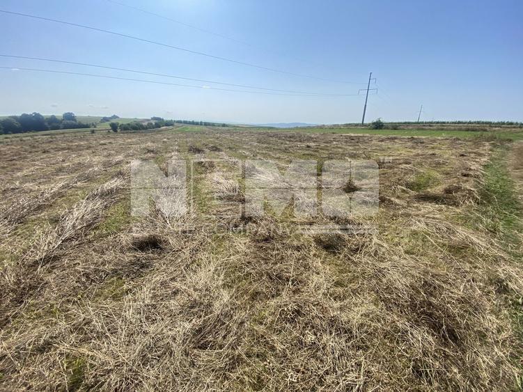 Teren agricol extravilan de 3401 mp, în Burdujeni