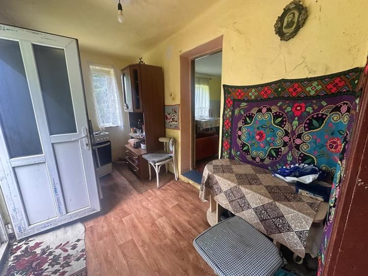 Casă individuală cu 3 camere cu Teren 12141 Mp în Valea Vințului