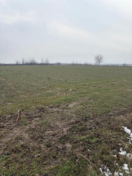 Teren Construcții extravilan de 9000 mp, în Filiași