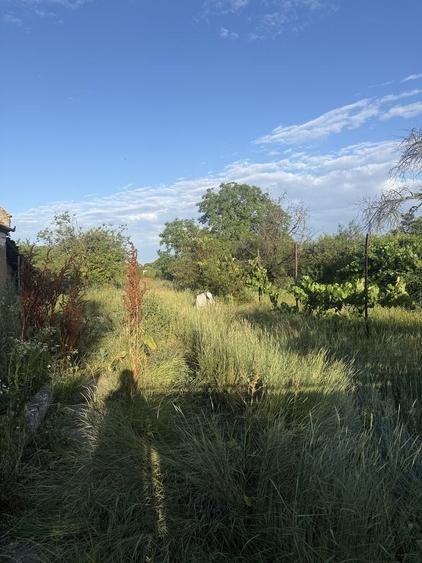 Casă cu 3 camere în Gelu