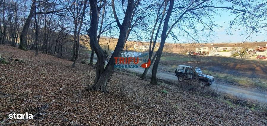 Spațiu comercial, în Central