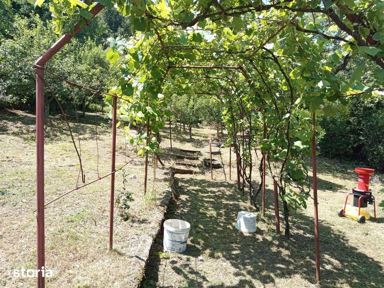 Casă cu Teren 1803 Mp în Anina