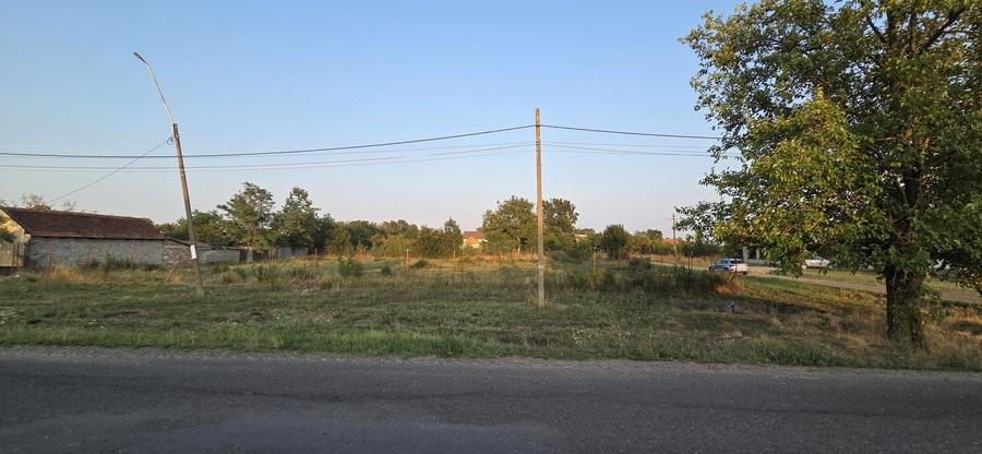 Teren Construcții intravilan de 1600 mp, în Sacoșu Turcesc