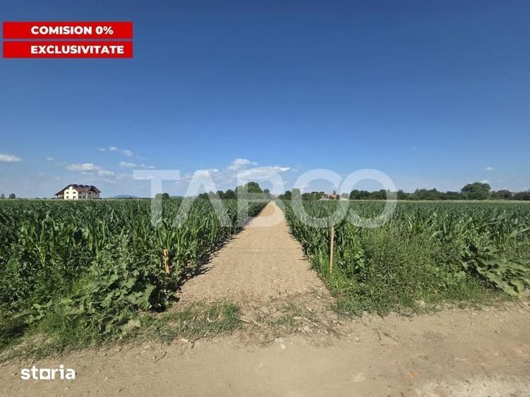 Teren intravilan 2000 mp si extravilan 1150 mp de vanzare in Vad - 1