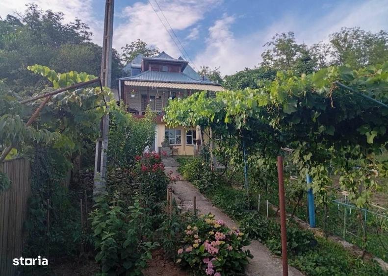 Casă cu 3 camere în Central