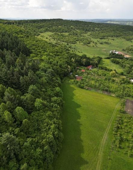 Teren Construcții intravilan de 655 mp, în Corușu