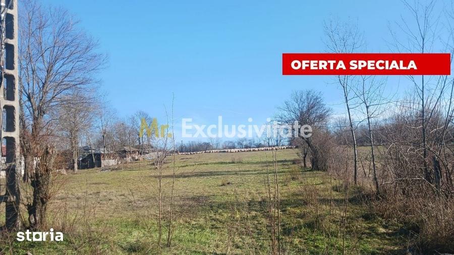 Teren de 6500 mp, în Rociu