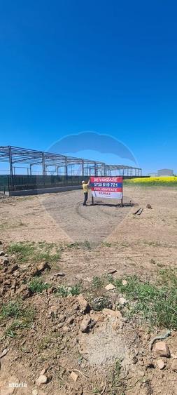 Teren 5,000mp Dobroesti / None - 3