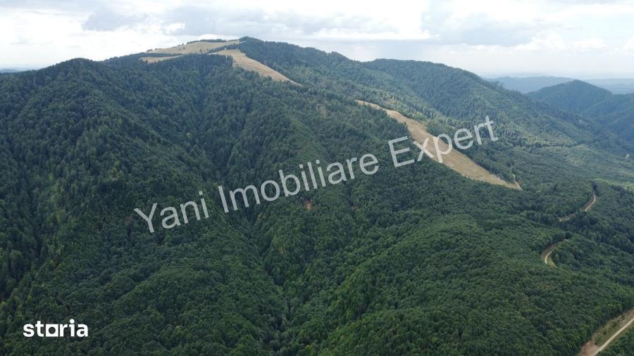 Teren de vanzare pe Transfagara?an, zona Molivi?u ( 69.450 mp ) - 17