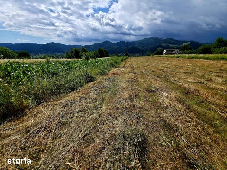 Teren de 600 mp, în Alexandru cel Bun