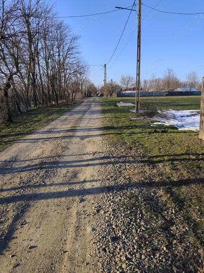 Teren de 1735 mp, în Bițina-Ungureni