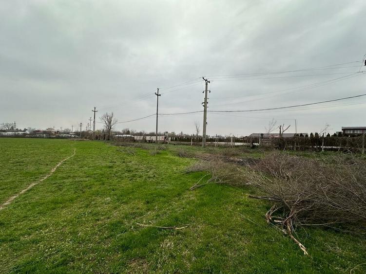 Teren Construcții intravilan de 155000 mp, în Mogoșești