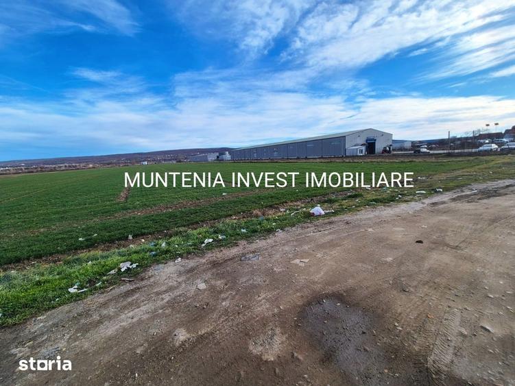 Teren intravilan 23504 mp. com.Maracineni,sat Argeselu. - 7