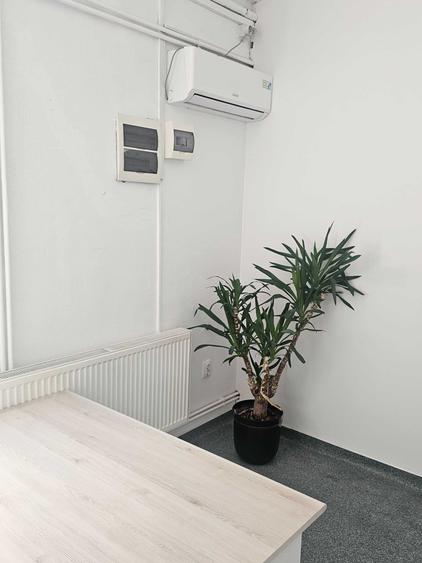 Spațiu comercial, de 300 mp, în Exterior Vest