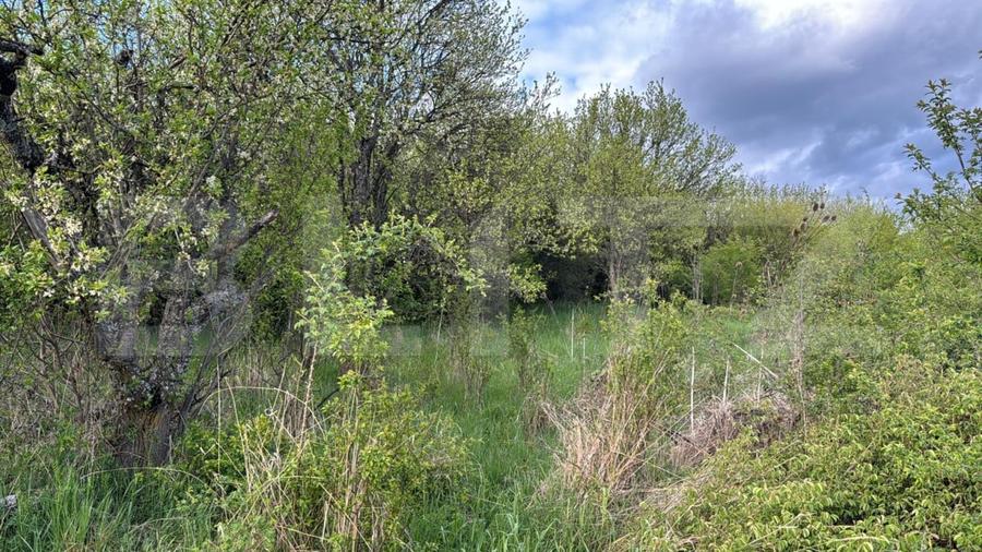 Teren extravilan de vanzare, 2.670 mp, Bistrita - 6