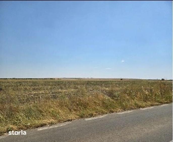 Teren de 4300 mp, în Smârdioasa
