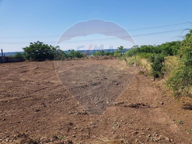 Teren Construcții intravilan de 1766 mp, în Schela Cladovei