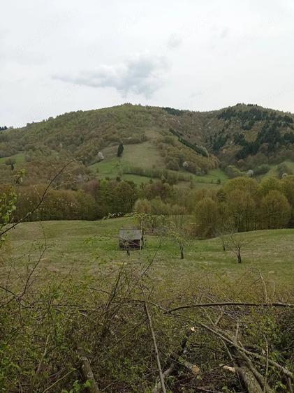 Teren de 20000 mp, în Gura Cornei