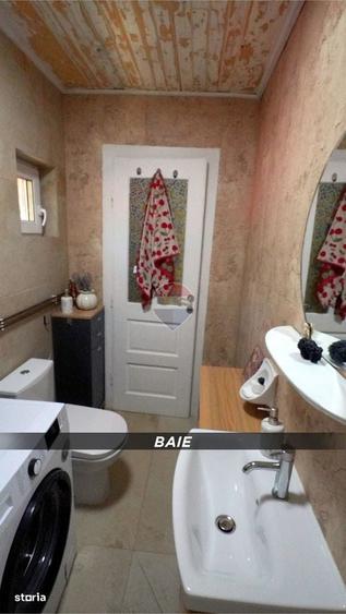 Casă cu 3 camere în Valea Borcutului