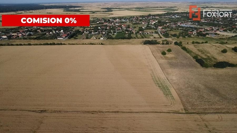 Teren Construcții intravilan de 24700 mp, în Pădureni (Jebel)