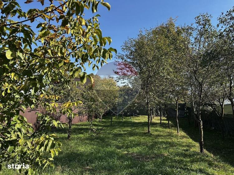 Casă cu 4 camere în Bârsana