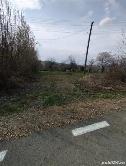 Teren de 6800 mp, în Șișești