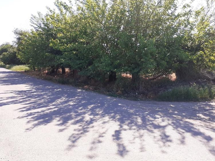 Teren de 928 mp, în Popești