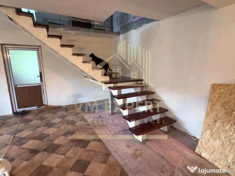 Casă cu 6 camere cu Teren 5736 Mp în Lerești