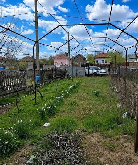 Casă cu Teren 2504 Mp în Central