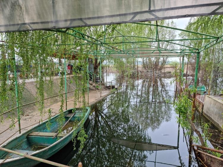 Spațiu comercial, în Tudor Vladimirescu
