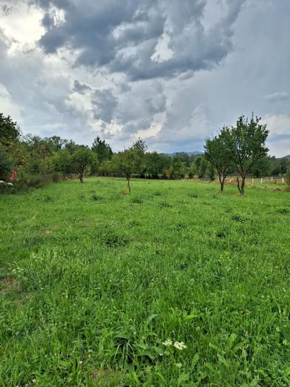 Vand teren intravilan Lonea/ Hunedoara 2421 mp - 3