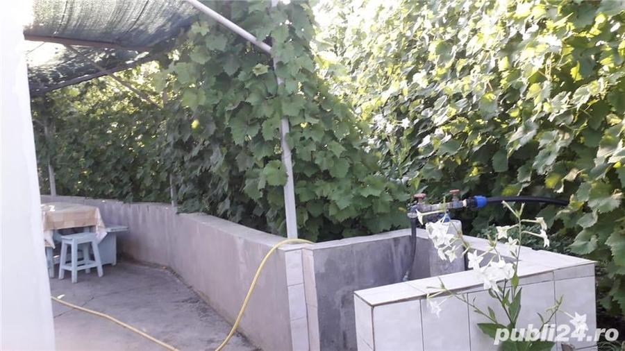 Casă cu 4 camere cu Teren 5000 Mp în Valea Mărului