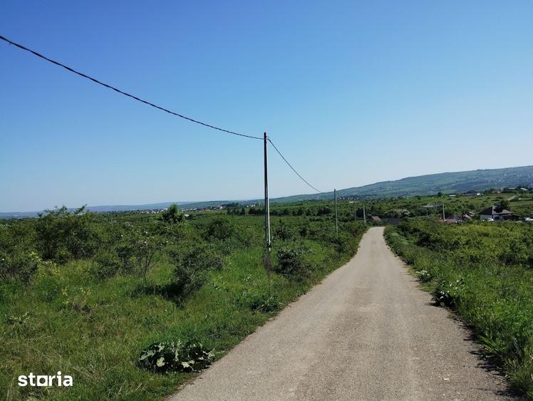 Teren de 350 mp, în Bârnova
